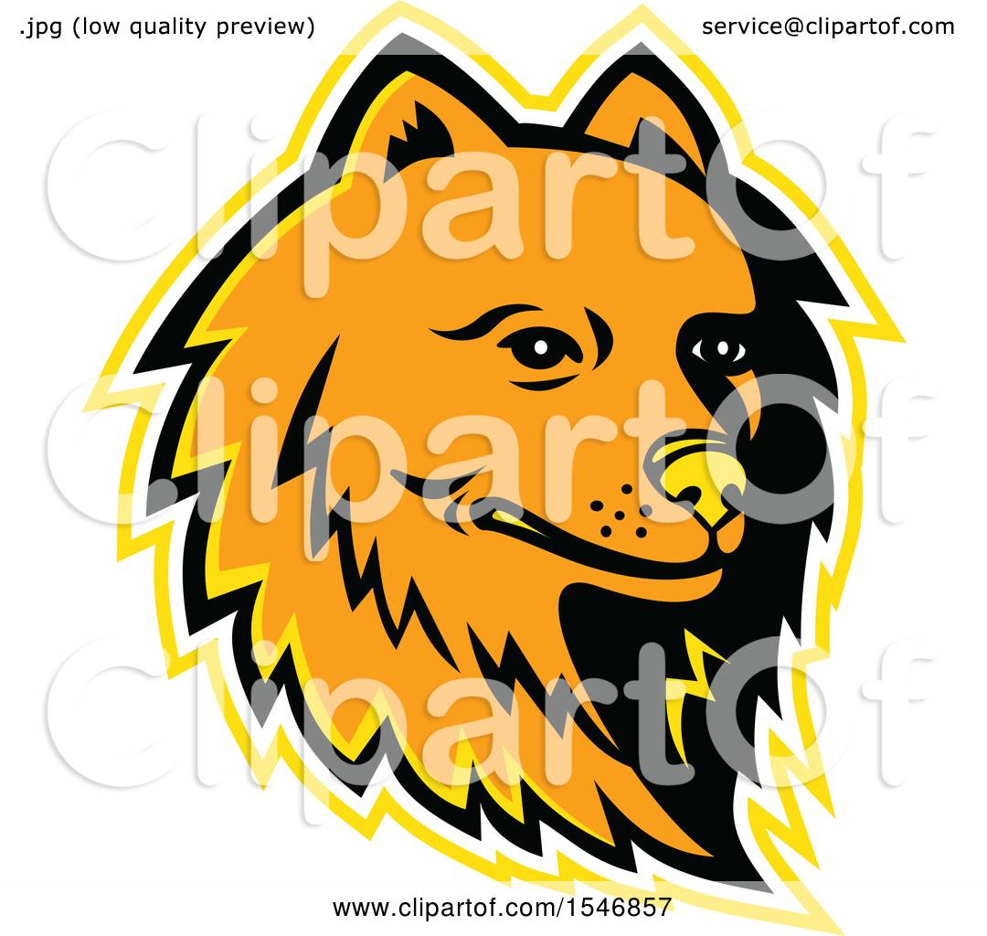 1080x1024 Clipart Of A Pomeranian Dog Mascot Head With A Yellow Outline