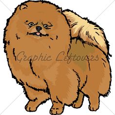 236x236 Pomeranian Clipart Pomeranian Pom Clipart Online