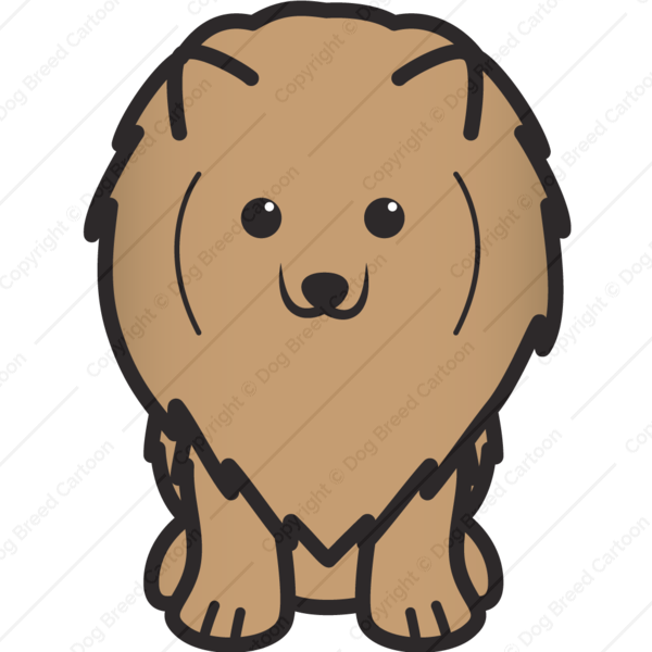 600x600 Pomeranian Clipart Transparent
