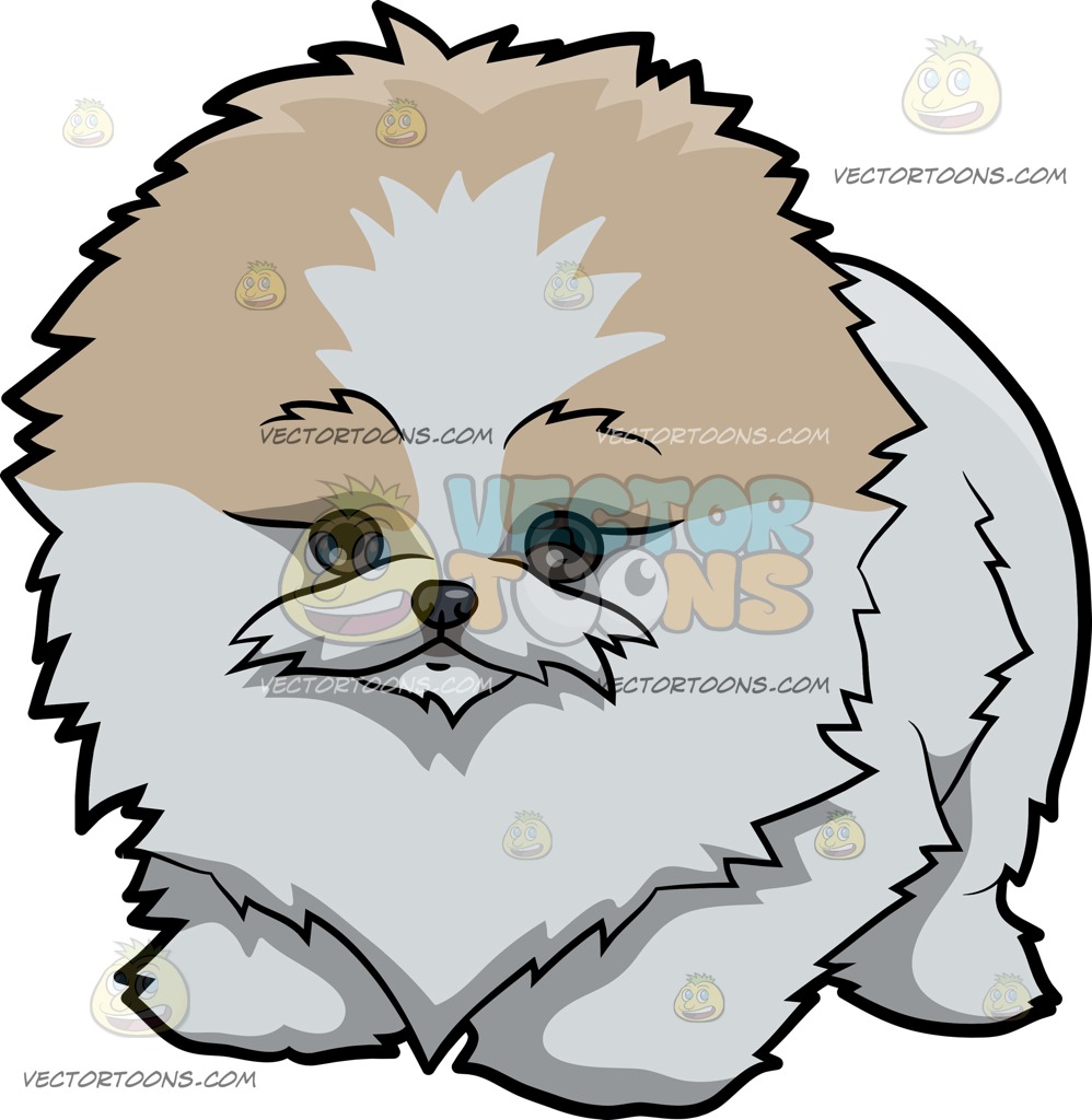 998x1024 A Fluffy Pomsky Dog Cartoon Clipart Vector Toons