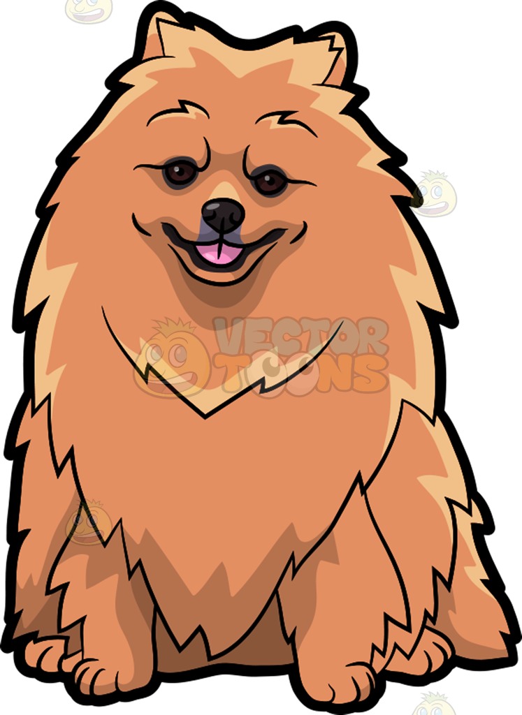 747x1024 A Gorgeous Pomeranian Dog Cartoon Clipart Vector Toons
