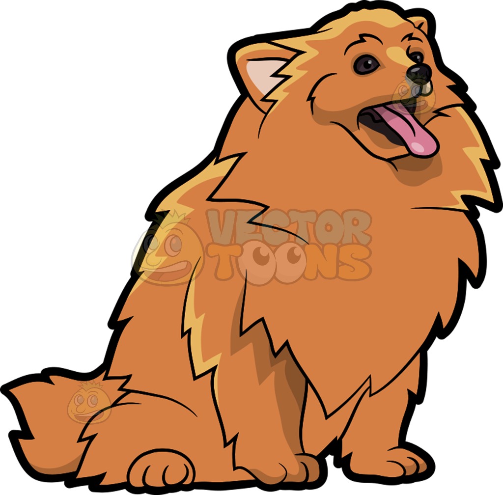 1024x1008 A Hungry Pomeranian Dog Cartoon Clipart