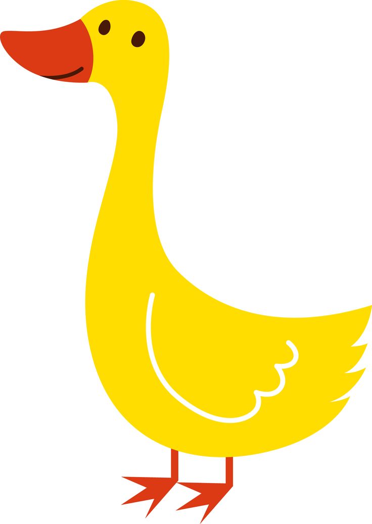 736x1037 Duck Clipart Farm Animal Free Collection Download And Share Duck