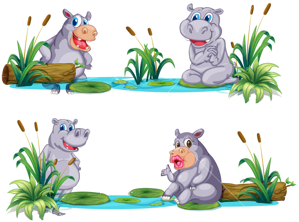 1000x741 Hippopotamus Living By The Pond Illustration Royalty Free Stock