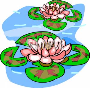 300x293 Water Lilies On A Pond Clipart Picture