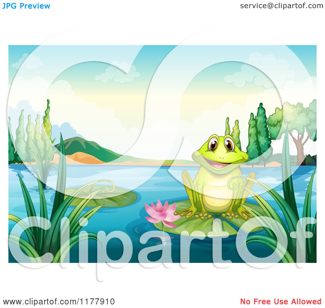 1080x1024 Cartoon Of A Happy Frog On A Pond Lily Pad