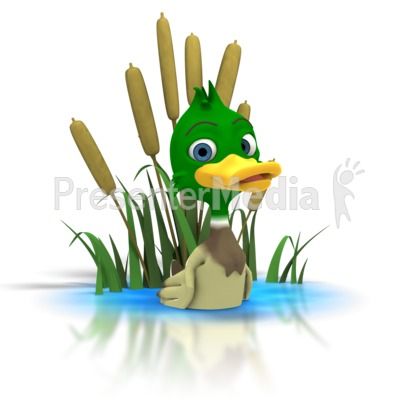 400x400 Best Of Duck Pond Clipart Duck