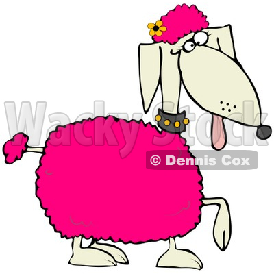 400x400 Clipart Illustration Of Poodle Dog With Pink Tufts Of Hairnd