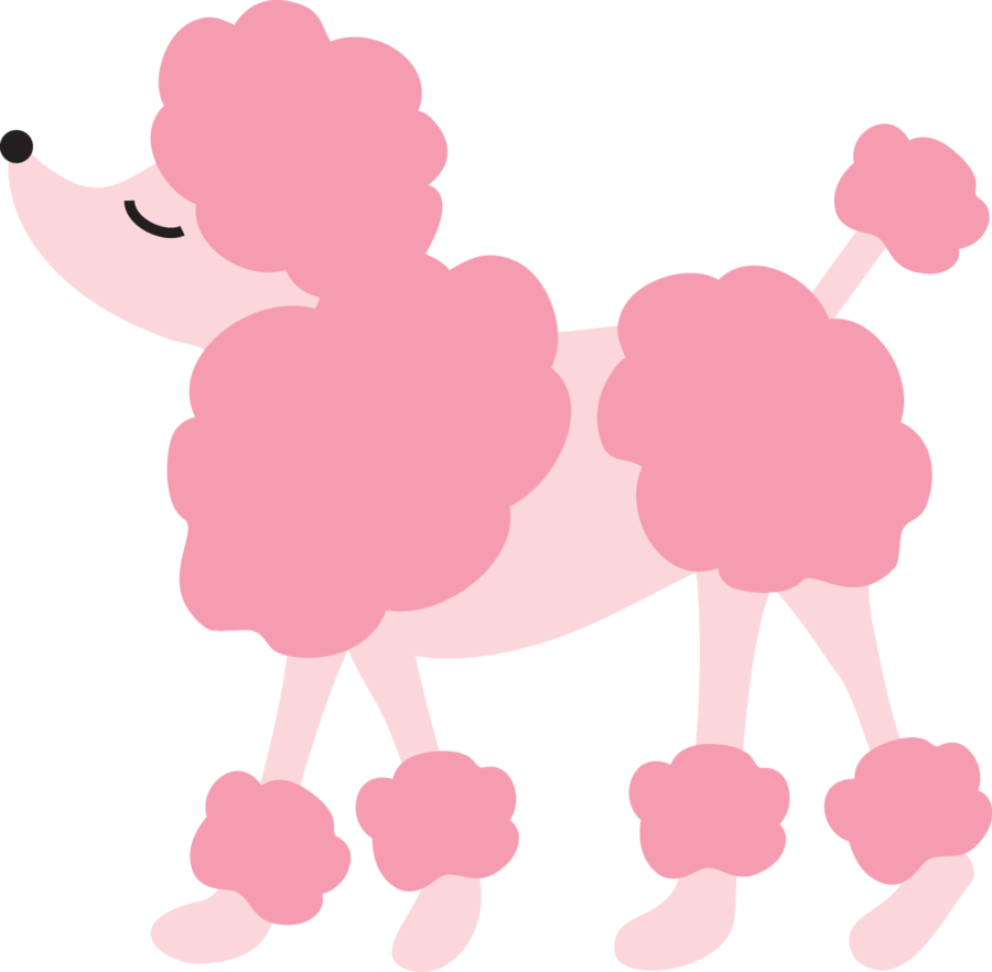 900x882 Image Result For Poodles Png Vector