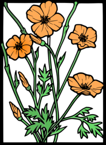 219x297 Poppies Color Clip Art