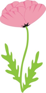 150x300 Poppy Clipart Image