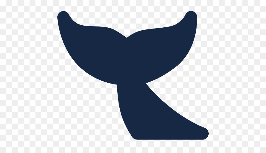 900x520 Whale Porpoise Marine Mammal Cetacea Clip Art