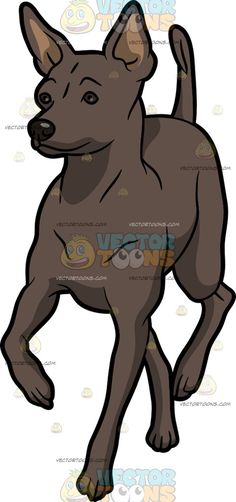 236x502 A Boerboel Dog Walking Around Cartoon Clipart