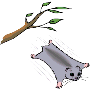 300x300 Flying Squirrel Clipart