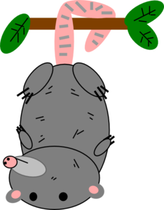 234x298 Possum Clip Art