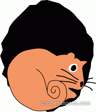 334x388 Possums Gif Clip Art Clipart Panda