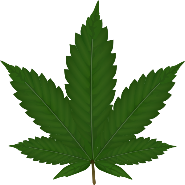 600x601 Cannabis Leaf Clip Art