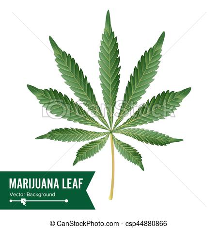 450x470 Cannabis Icon Vector. Medical Green Plant Illustration Clip Art