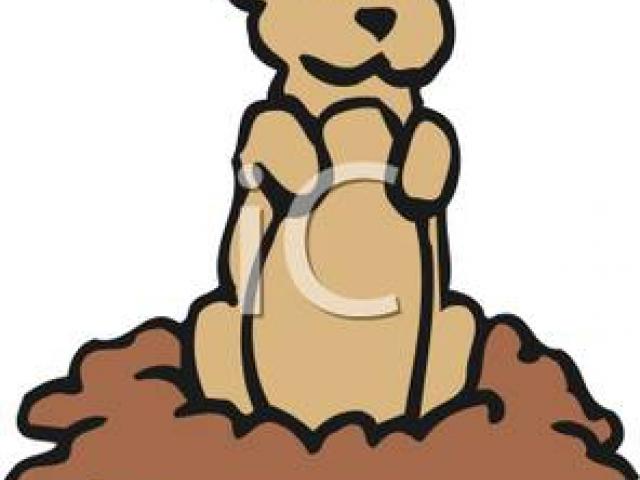 640x480 Prairie Dog Clipart Transparent