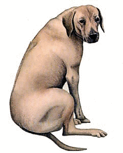 242x300 Dog Clip Art Download