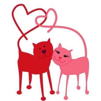 386x386 Looks Like A Shiba Shiba Inu