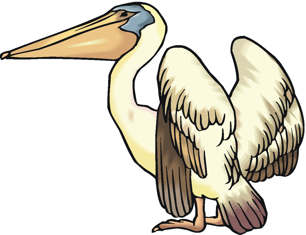 1200x921 Pelican Clip Art