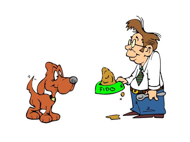 639x479 Do Dogs Prefer Food Or Praise Psychology Today