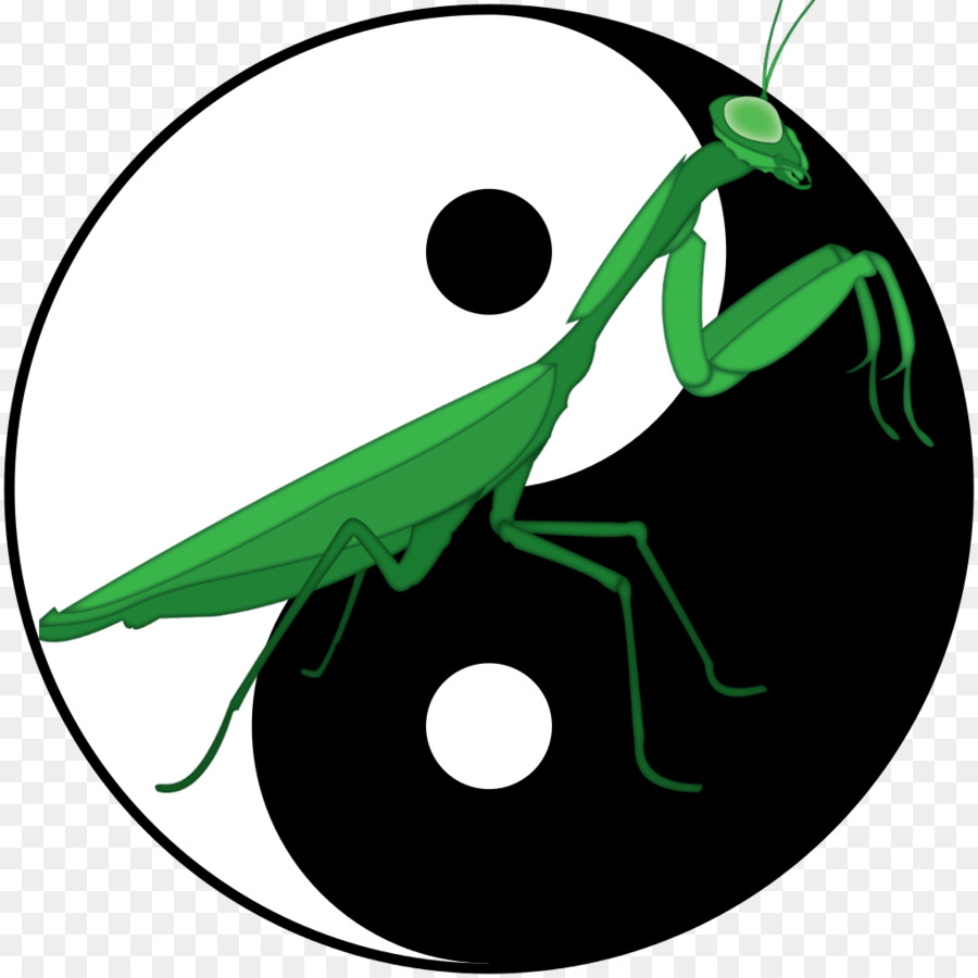 900x900 Northern Praying Mantis Chinese Martial Arts Shaolin Monastery