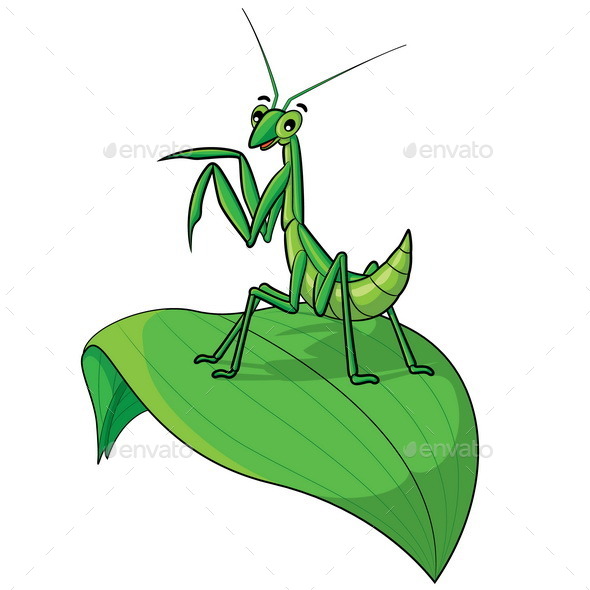 590x590 Praying Mantis Cartoon By Rubynurbaidi Graphicriver