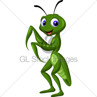 325x325 Praying Mantis Grasshopper Cartoon Gl Stock Images