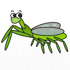 236x236 Praying Mantis Clipart Free