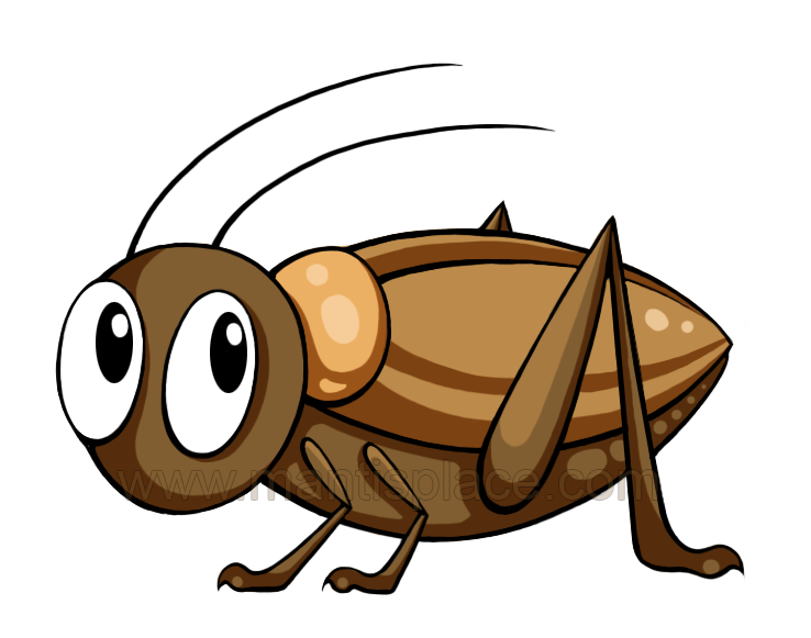 738x581 Brown Clipart Cricket