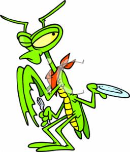 256x300 Clipart Illustration Of A Hungry Preying Mantis