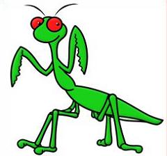 240x224 Free Praying Mantis Clipart