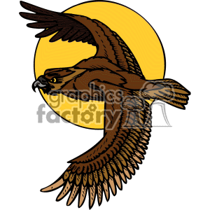 300x300 Predator Hawk Clipart, Explore Pictures