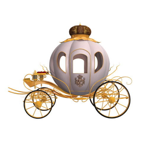 480x480 Costumes For Wheelchairs Tagged Wagen Rolling Buddies