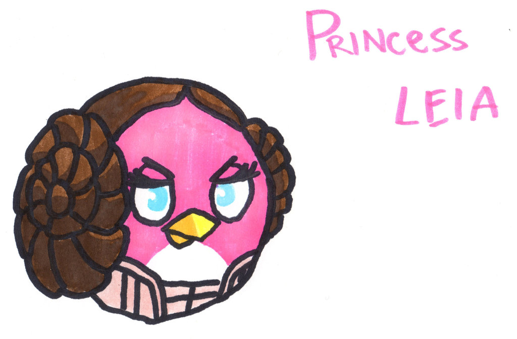 1024x672 Princess Leia Bird By Youcandrawit