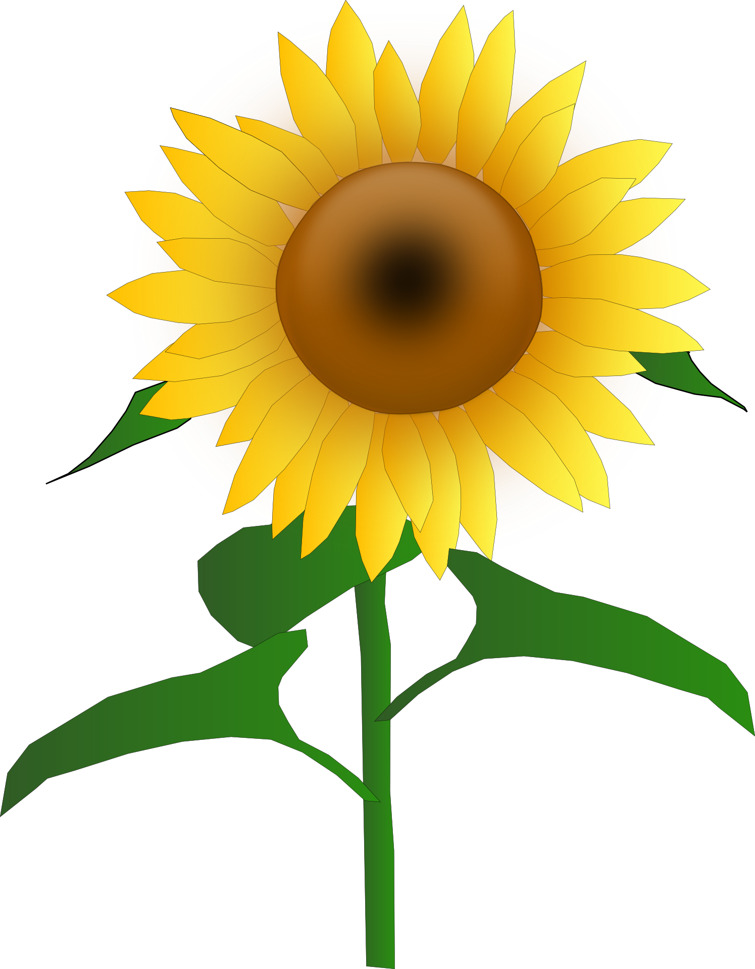 1495x1920 Alluring Sunflower Clipart Free 29 1035131 Paper Crafts Union Bankrc