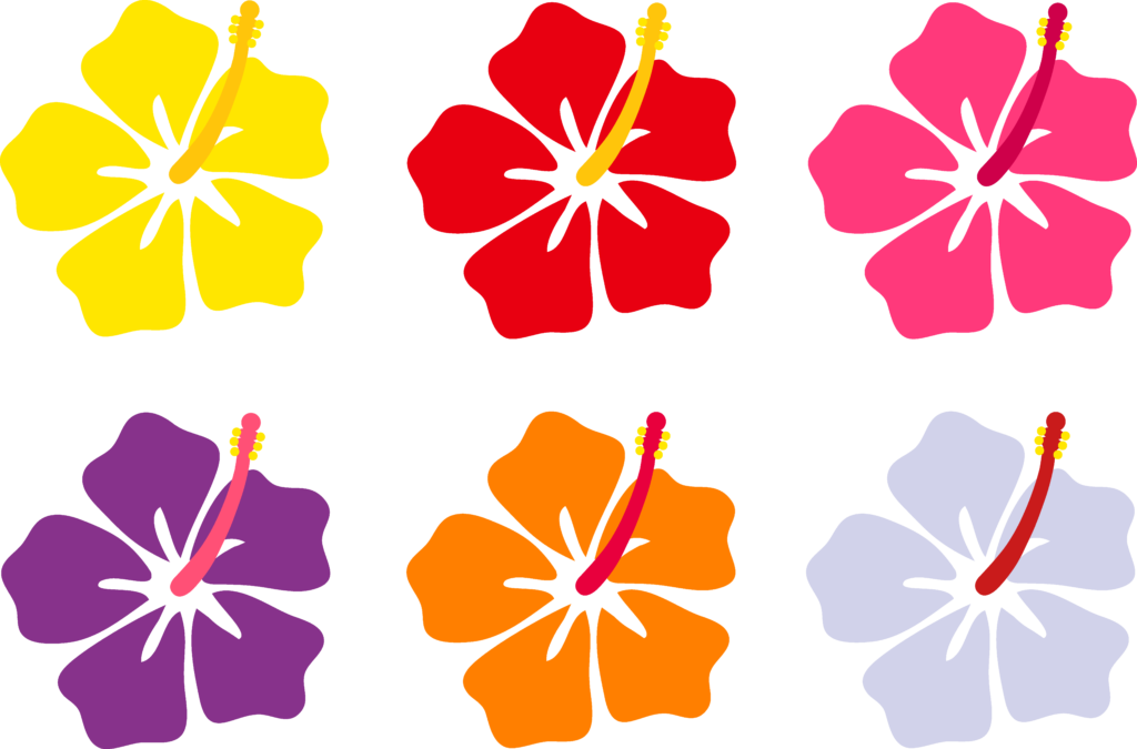 1024x675 Hawaii Flowers Cartoon Desktop Backgrounds