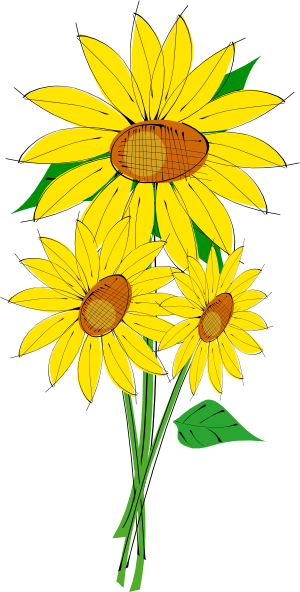 300x592 Sunflower Clip Art Free Printable Clipart 2 2