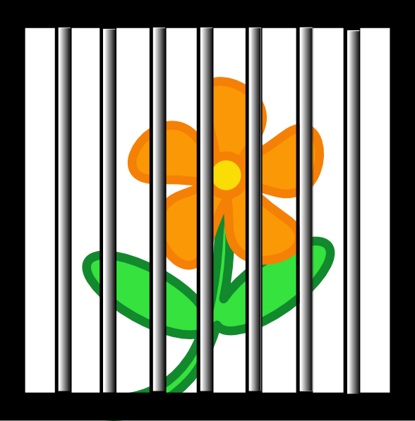 588x597 Flower Behind Bars Clip Art