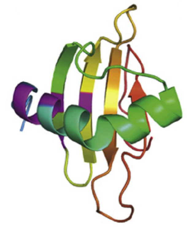 622x744 Protein Foam Clipart