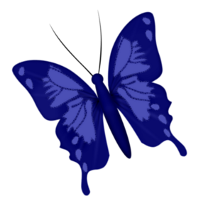 300x300 Fm Spirit Element 38.png Butterflies Butterfly