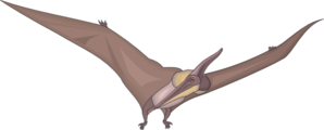 298x120 Pteranodon Looking Clip Art