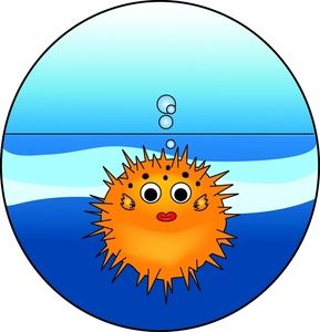 289x300 46 Best Pufferfish Lt(O)gt Images On Puffer Fish Art