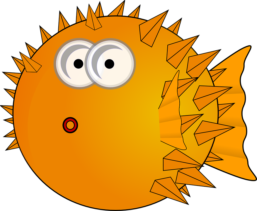 877x720 Puffer Fish Cartoon Puffer Fish Spikes Free Vector Graphic