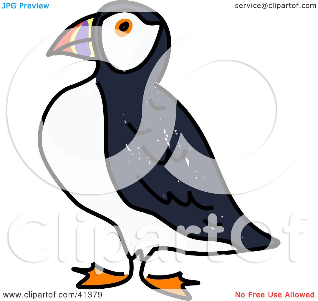 1080x1024 Clipart Illustration Of A Proud Puffin Bird In Profile By Prawny