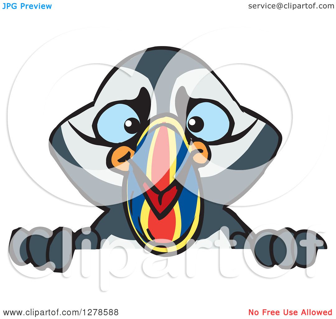 1080x1024 Clipart Of A Happy Puffin Bird Peeking Over A Sign