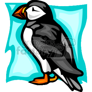 300x300 Royalty Free Profile Of A Puffin Bird 130177 Vector Clip Art Image