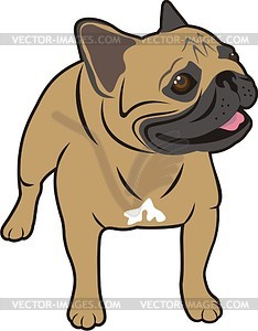 234x300 Pug Clipart Free For Your Project Clipartmonk